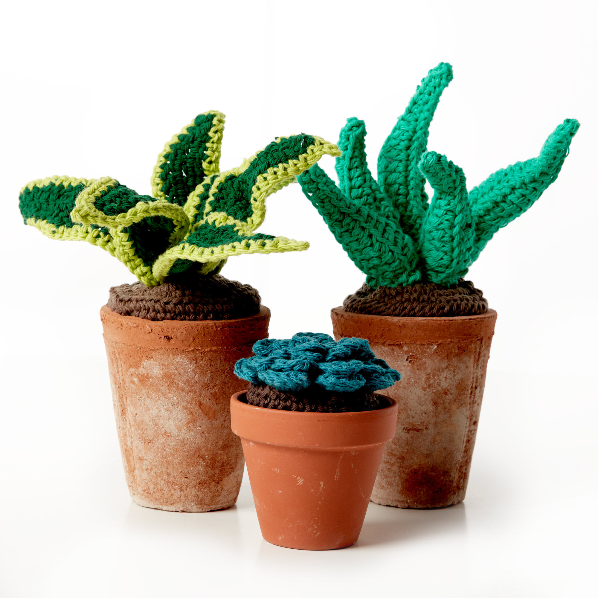 PATRÓN GRATIS Hermosas Plantas Suculentas en Crochet Crochetisimo