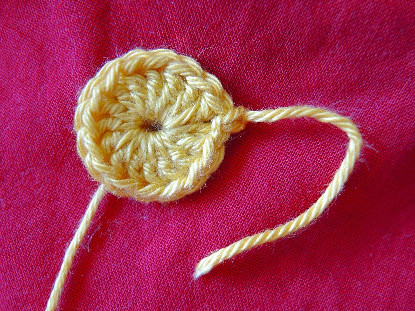 PATRÓN GRATIS Flor No Me Olvides en Crochet - Crochetisimo