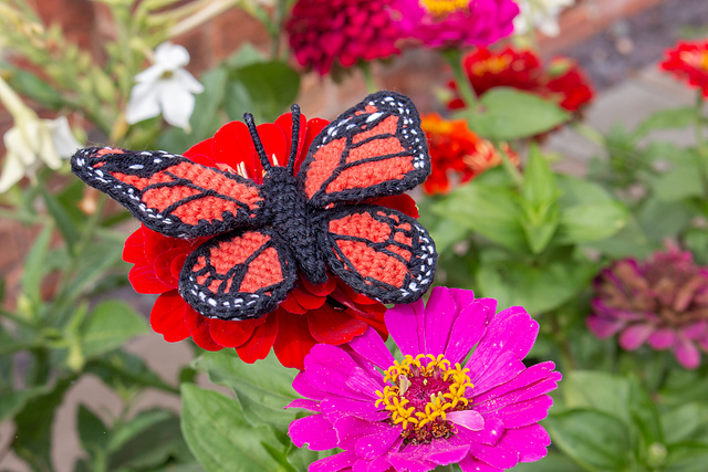 PATRÓN GRATIS  Mariposa Monarca Amigurumi