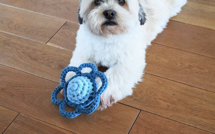 PATRÓN GRATIS Flor Amigurumi de Juguete para Perro