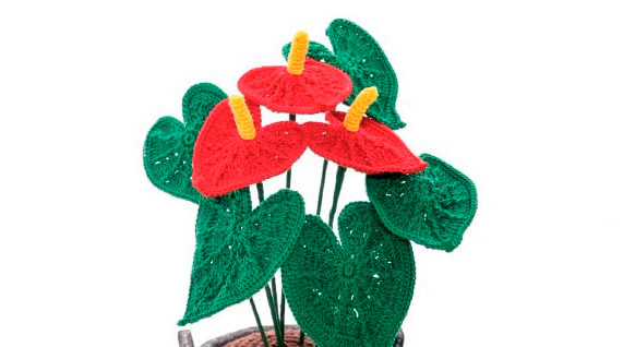 Flor Anthurium en Crochet PATRÓN GRATIS