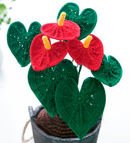 Crochet Flamenco Flower