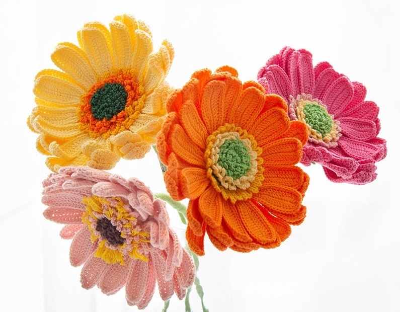 Gerberas