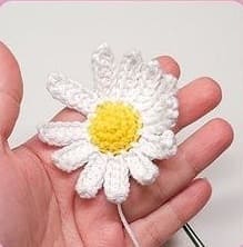 Flores de Margarita Amigurumi