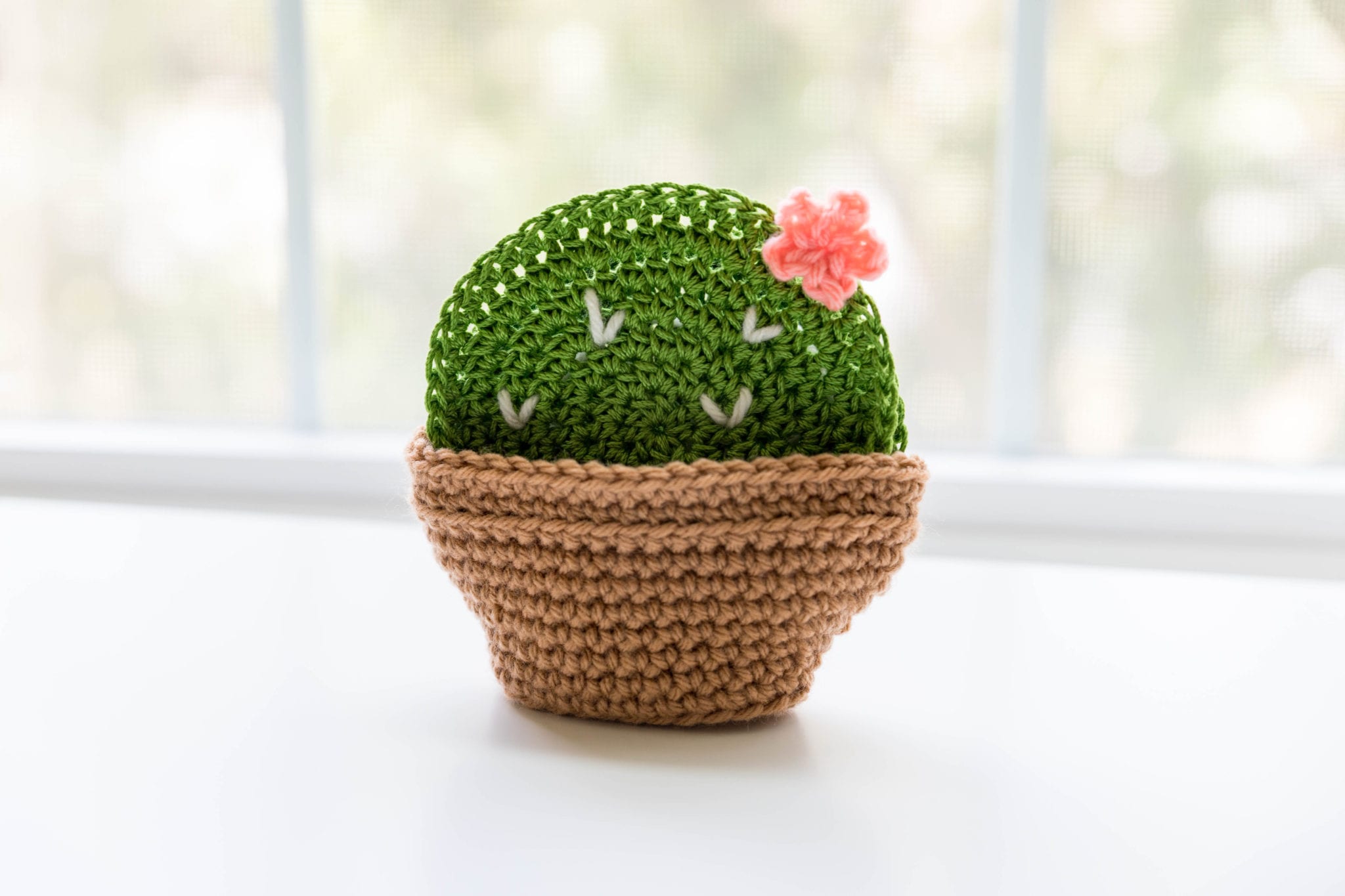 Posavasos Cactus