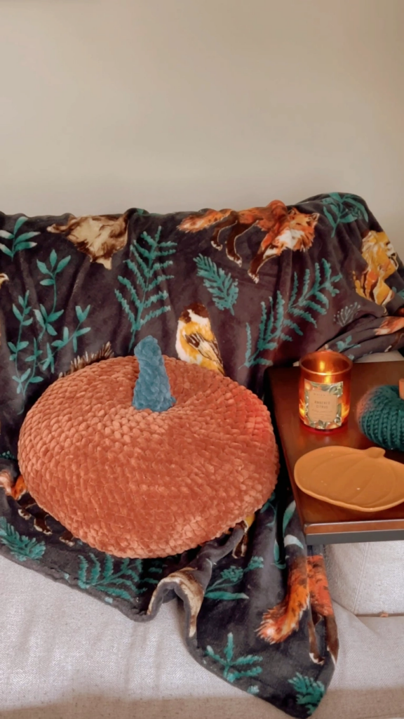 Cómo Tejer un Cojín Decorativo en Crochet Patrón Gratis