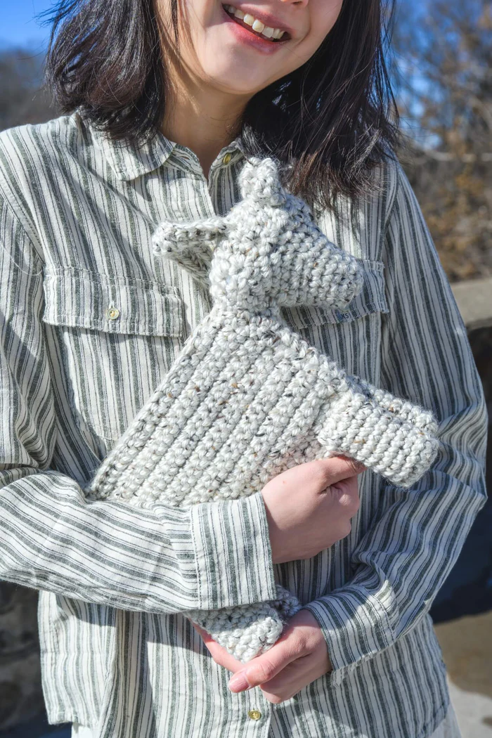 Bolsa de Poni en Crochet PATRON GRATIS