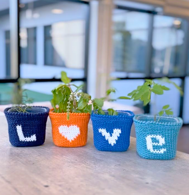 ¡Tu Jardín Será la Envidia! El Patrón de Crochet que Revoluciona la Decoración con Plantas